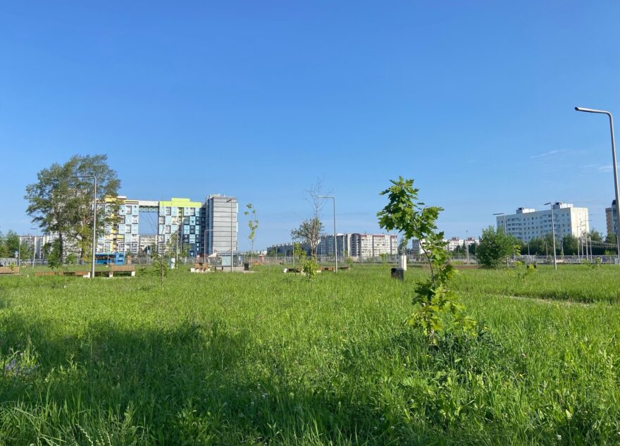 Жители Твери просят не косить траву в Южном