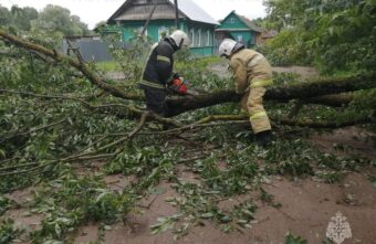 В трех округах Верхневолжья деревья упали на дороги после урагана В трех округах Верхневолжья деревья упали на дороги после урагана