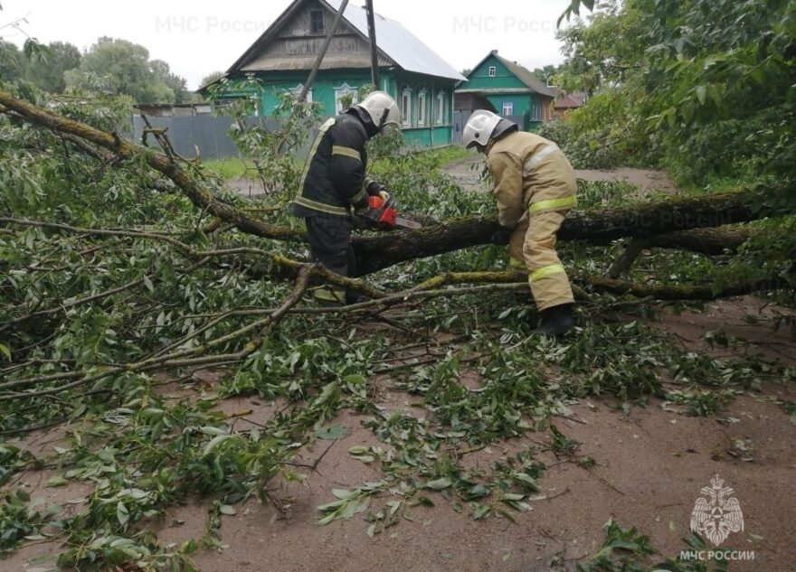 В трех округах Верхневолжья деревья упали на дороги после урагана В трех округах Верхневолжья деревья упали на дороги после урагана