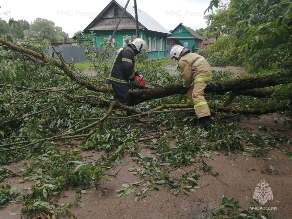 В трех округах Верхневолжья деревья упали на дороги после урагана | ТОП  Тверь новости