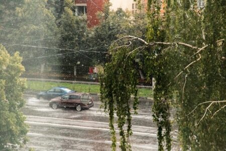 На следующей неделе погода устроит климатический шок жителям Тверской области На следующей неделе погода устроит климатический шок жителям Тверской области