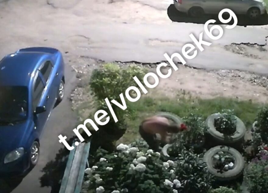 В Тверской области мужчину просят вернуть сворованные с клумбы цветы В Тверской области мужчину просят вернуть сворованные с клумбы цветы