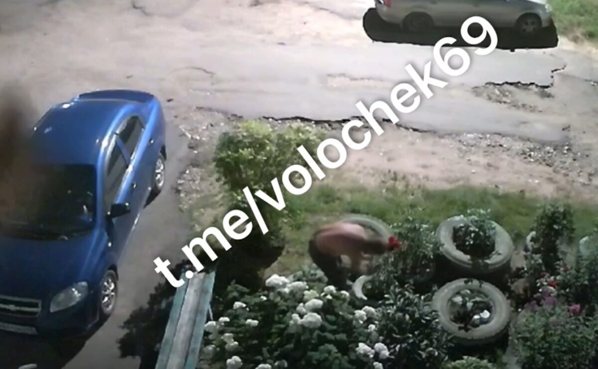 В Тверской области мужчину просят вернуть сворованные с клумбы цветы