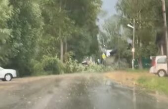 Ураган в Тверской области снес дерево перед машинами