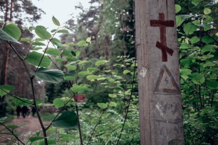 Опытные грибники Тверской области рассказали, в какой одежде опасно ходить в лес Опытные грибники Тверской области рассказали, в какой одежде опасно ходить в лес
