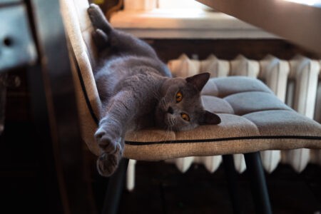 Стало известно, сколько россияне будут отдыхать в следующем году Стало известно, сколько россияне будут отдыхать в следующем году