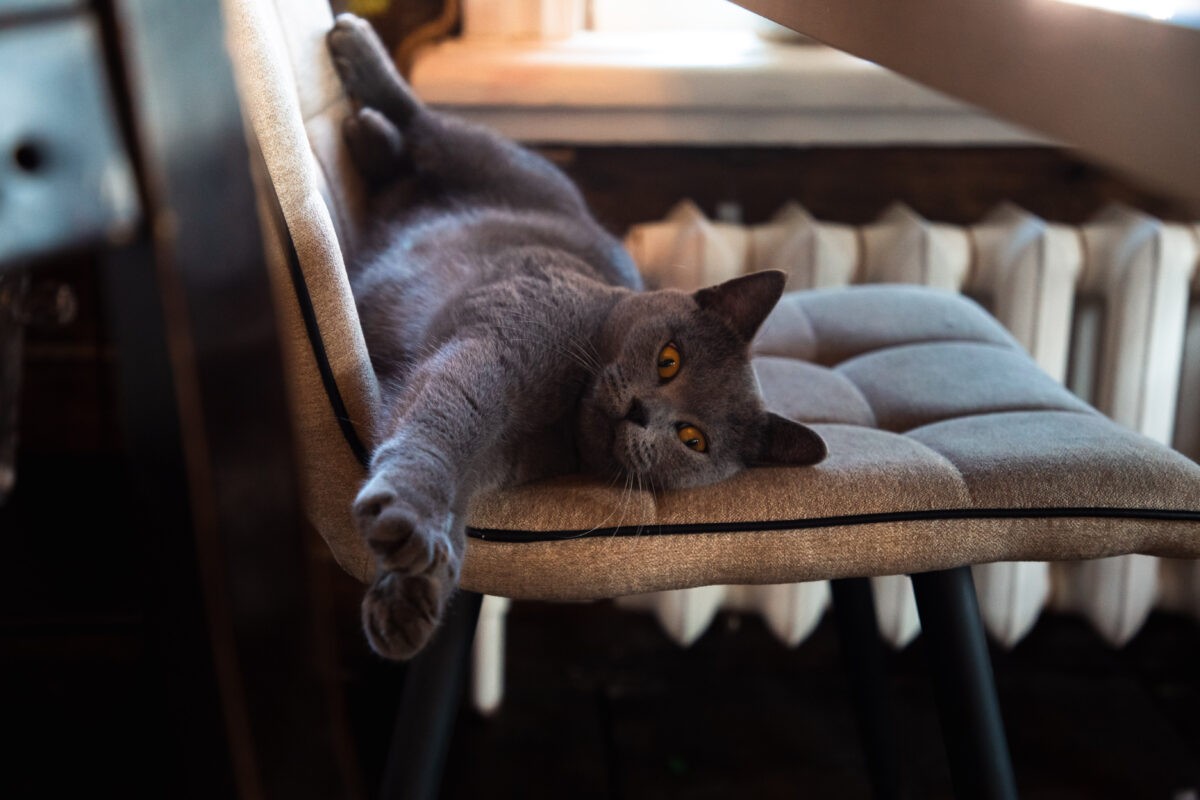 Стало известно, сколько россияне  будут отдыхать в следующем году