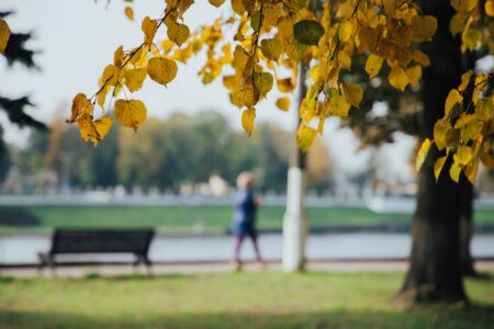 В Тверской области ищут мужчину в спортивных штанах