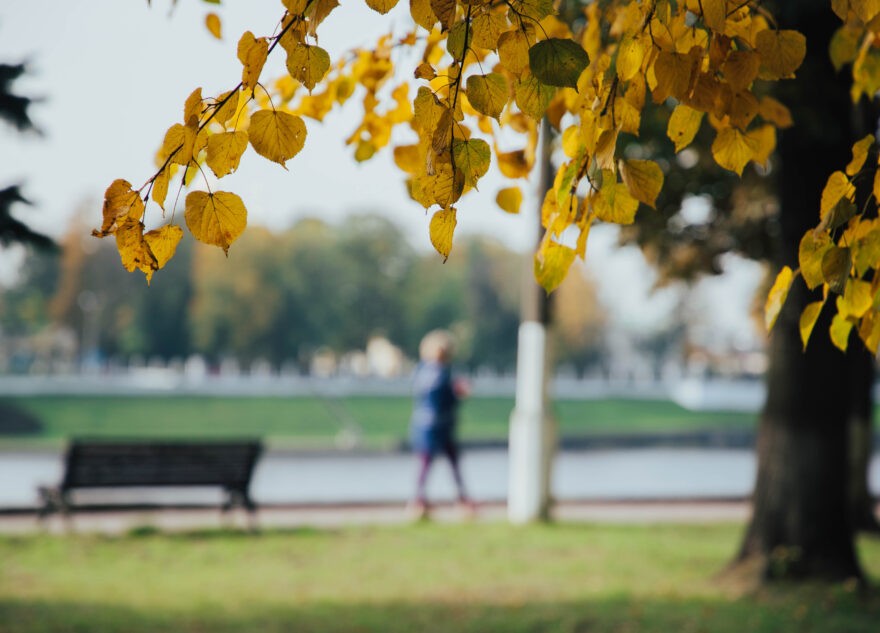 В Тверской области ищут мужчину в спортивных штанах