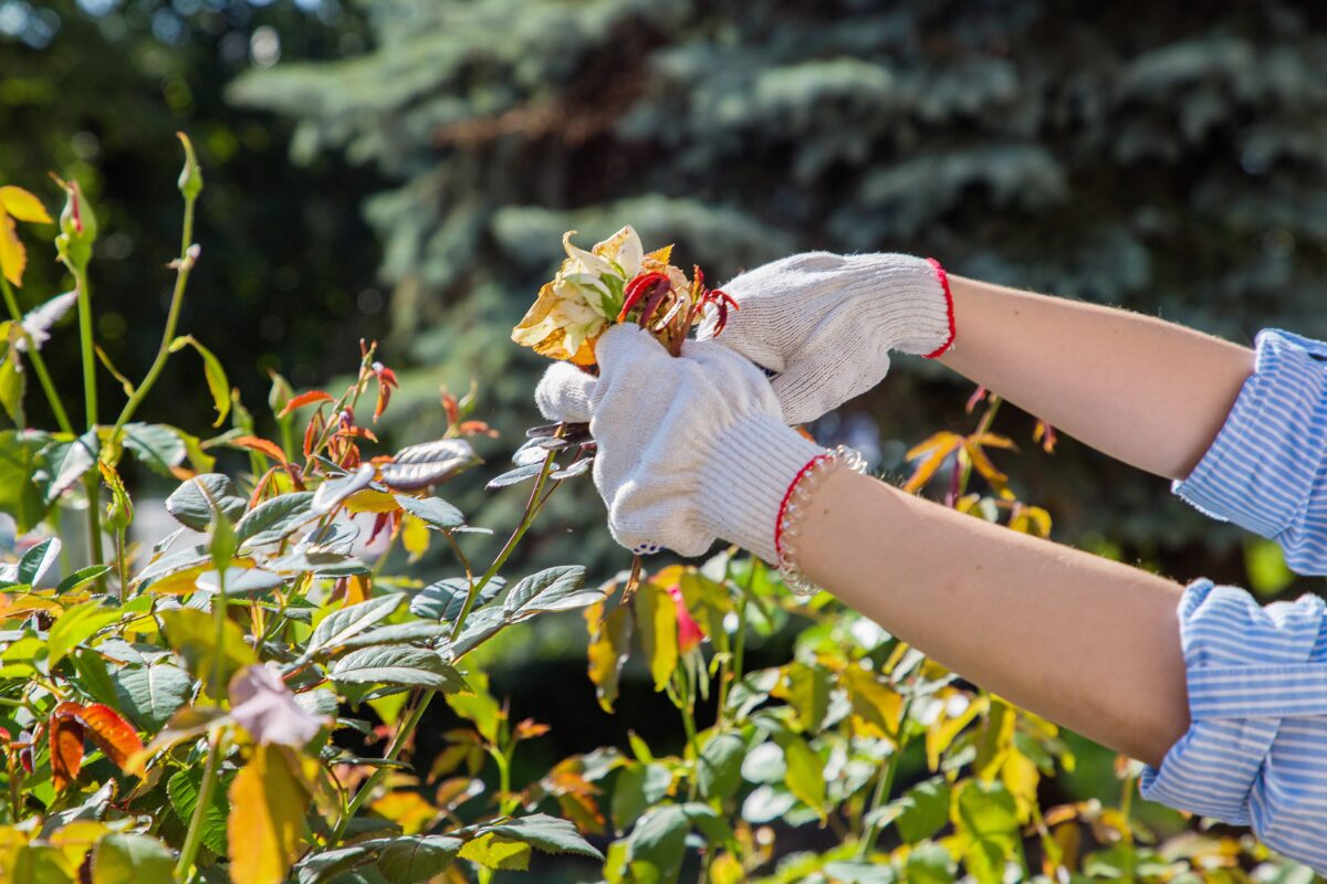 Муниципалитеты Тверской области поощрят за высокие показатели при трудоустройстве подростков