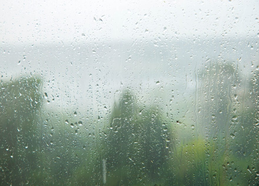 В ближайшие часы на Тверскую область обрушится непогода