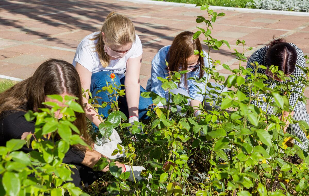 Жителей Тверской области приглашают к участию в XII Всероссийском форуме рабочей молодёжи
