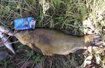 Жители Тверской области назвали самые рыбные места