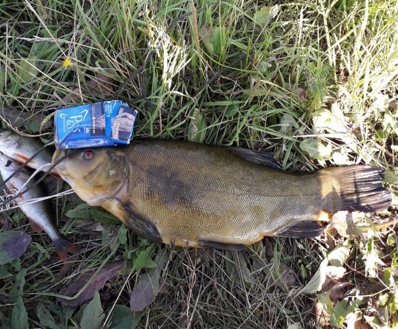 Жители Тверской области назвали самые рыбные места