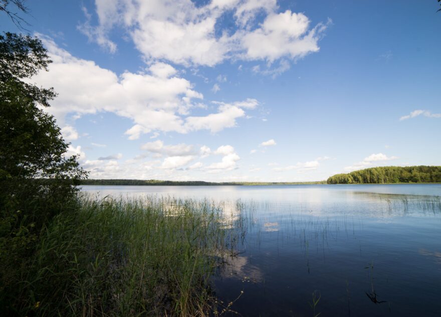 Самое страшное озеро Тверской области признано лучшим местом для рыбалки в России