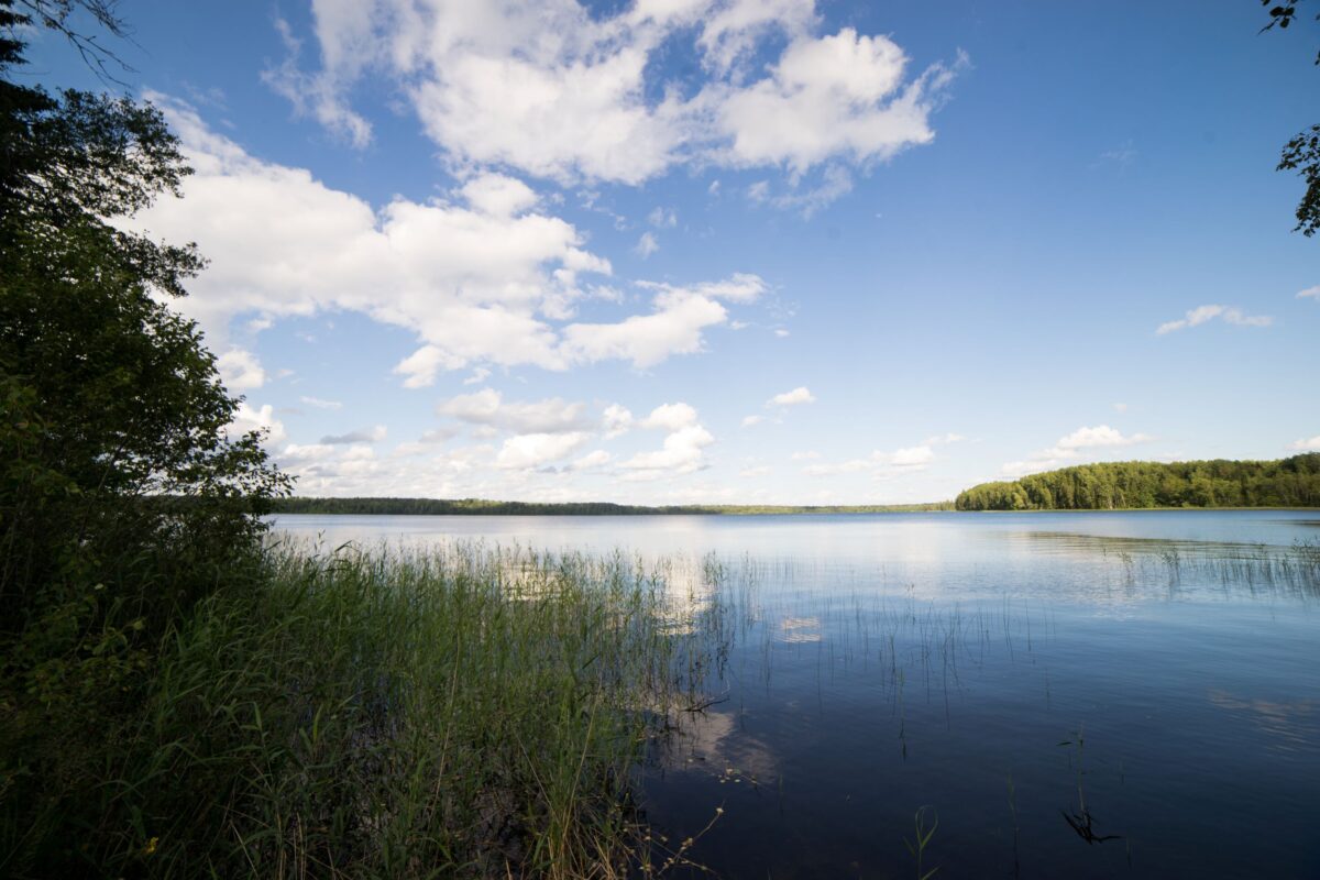 Самое страшное озеро Тверской области признано лучшим местом для рыбалки в России