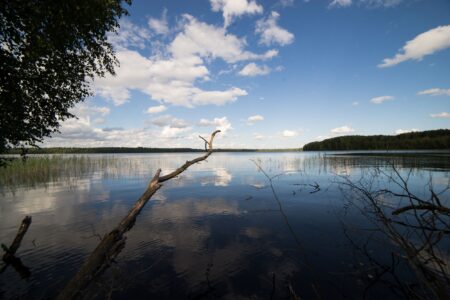 Самое страшное озеро Тверской области признано лучшим местом для рыбалки в России