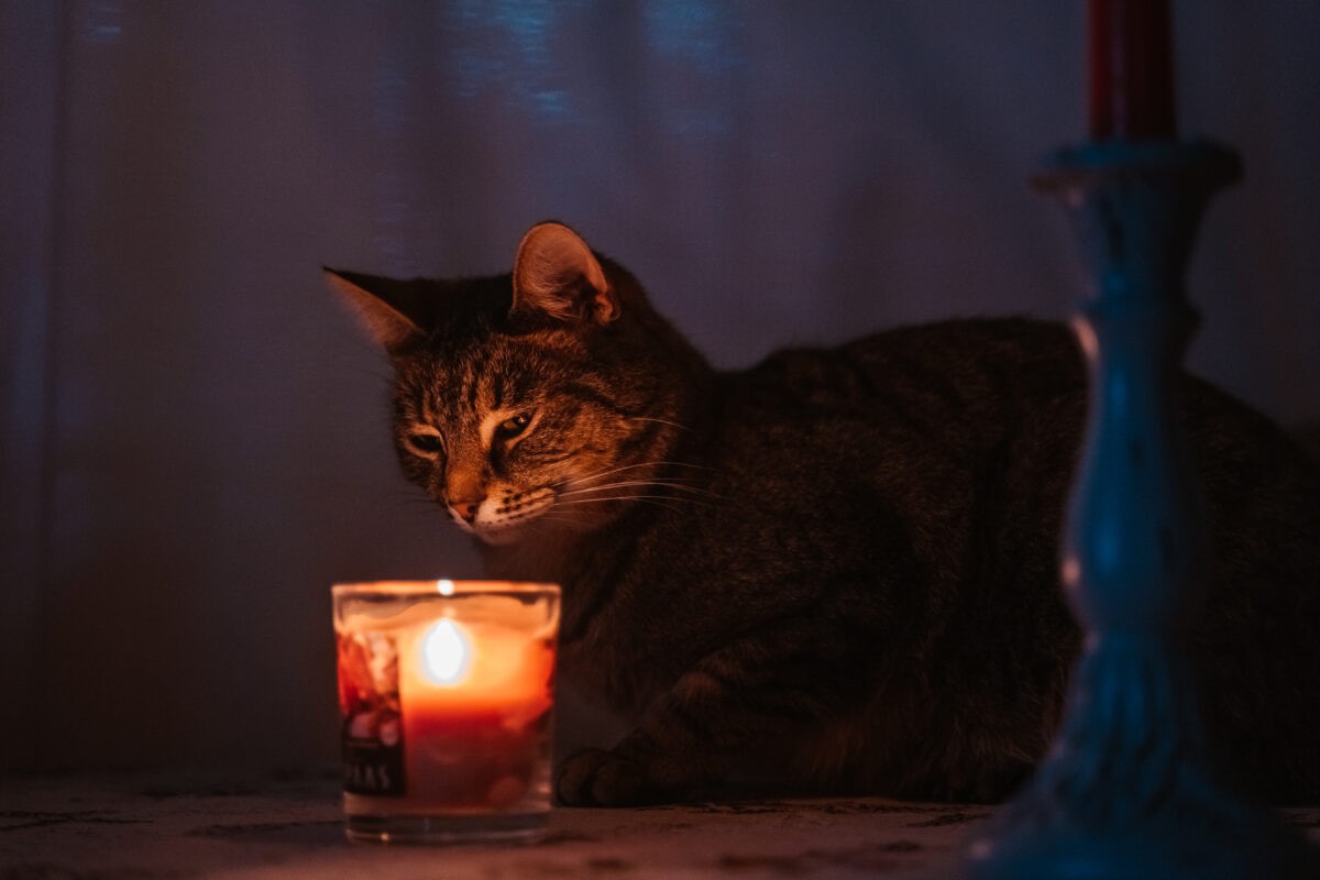 Жители нескольких городов Тверской области останутся без света