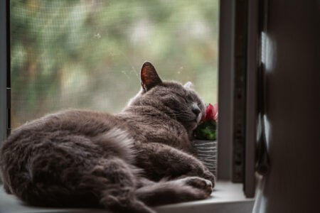 Михаил Мурашко рассказал о том, что недосып может стать причиной ранней смерти