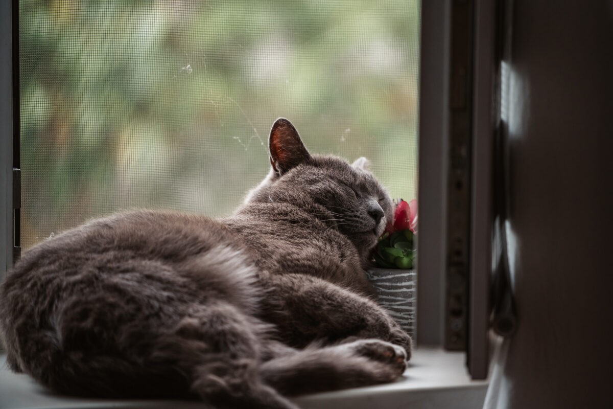 Михаил Мурашко рассказал о том, что недосып может стать причиной ранней смерти