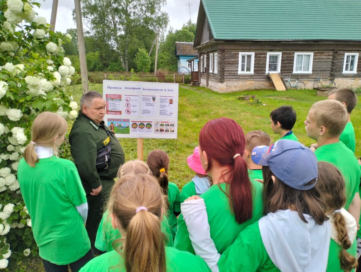 Жителям Тверской области напоминают о соблюдении правил пожарной безопасности в лесах