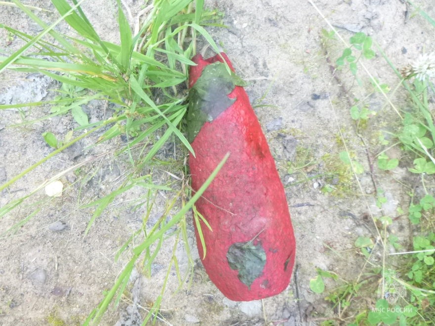 В Тверской области обезвредили минометную мину