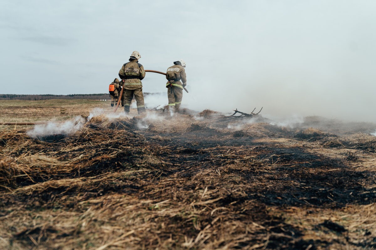 В Тверской области объявили высокий уровень пожарной опасности