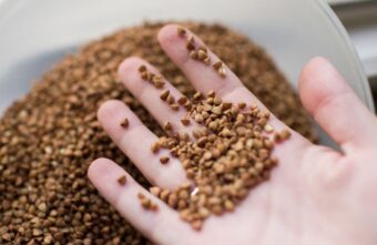 Врач рассказал, с чем правильно есть гречку Врач рассказал, с чем правильно есть гречку