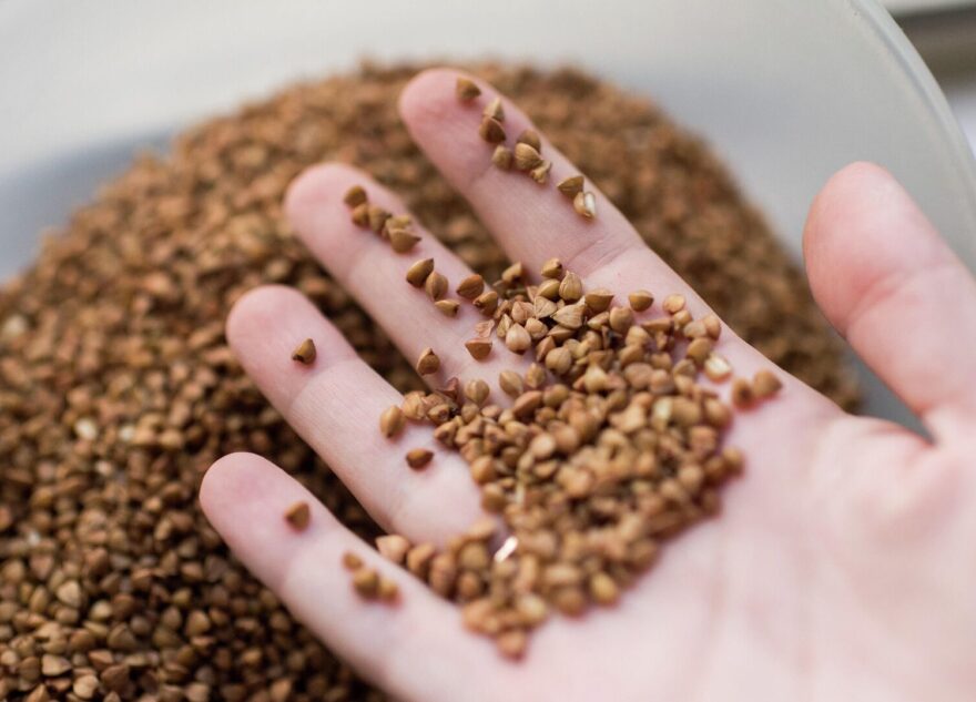 Врач рассказал, с чем правильно есть гречку