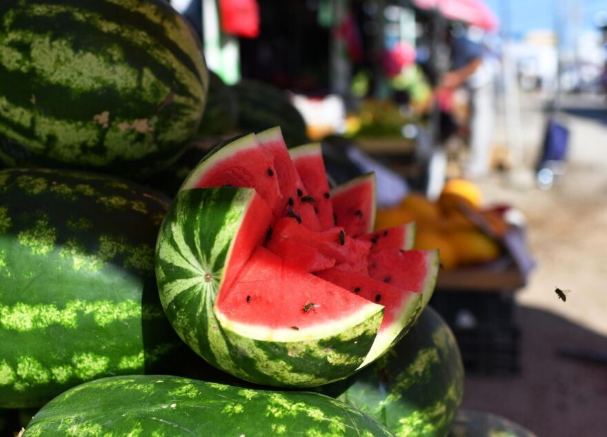 Специалист назвала заболевания, из-за которых нельзя есть арбузы