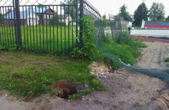 Жителей Тверской области предупредили об опасности возле стадиона