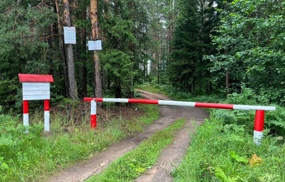 Больше 13 километров лесных дорог построили в Тверской области