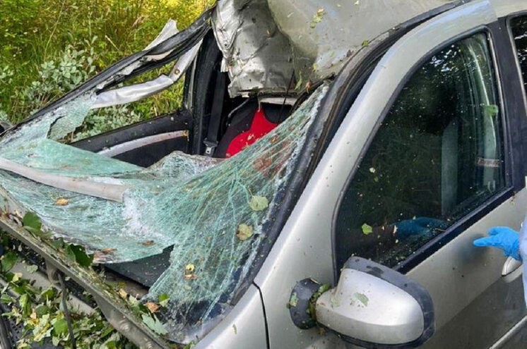 При столкновении автомобиля с лосем в Тверской области погибла пассажирка При столкновении автомобиля с лосем в Тверской области погибла пассажирка