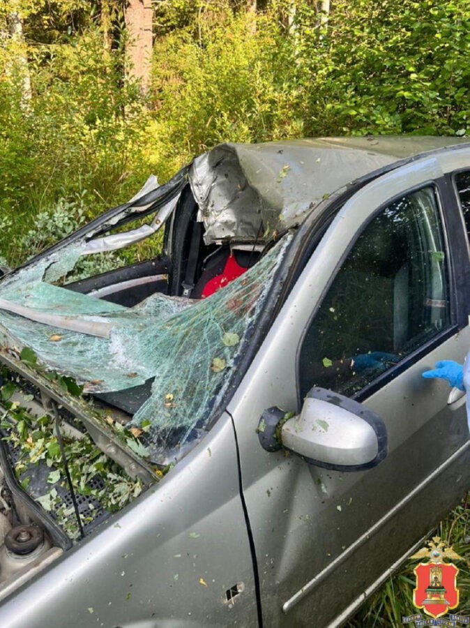 При столкновении автомобиля с лосем в Тверской области погибла пассажирка