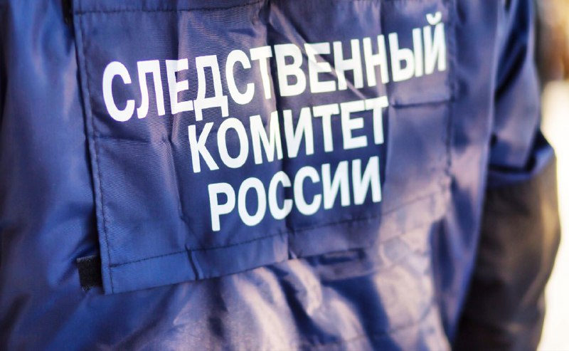 В Тверской области на хулигана с цепью возбудили уголовное дело В Тверской области на хулигана с цепью возбудили уголовное дело