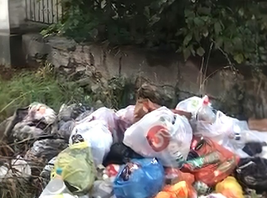 В Твери под окнами дома образовалась гора мусора