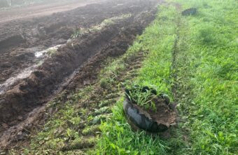 В Тверской области трактор превратил придомовой участок в месиво из навоза и грязи В Тверской области трактор превратил придомовой участок в месиво из навоза и грязи