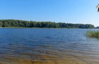 В Тверской области устанавливают обстоятельства гибели мужчины, тело которого нашли в озере Селигер