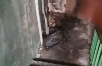 В одном из подъездов Твери вандалы подожгли шину В одном из подъездов Твери вандалы подожгли шину