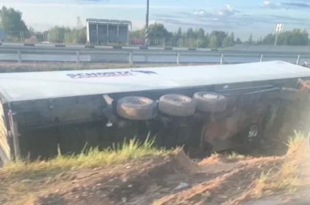 Оборванные провода после аварии на М-10 в Тверской области страшно покалечили женщину Оборванные провода после аварии на М-10 в Тверской области страшно покалечили женщину