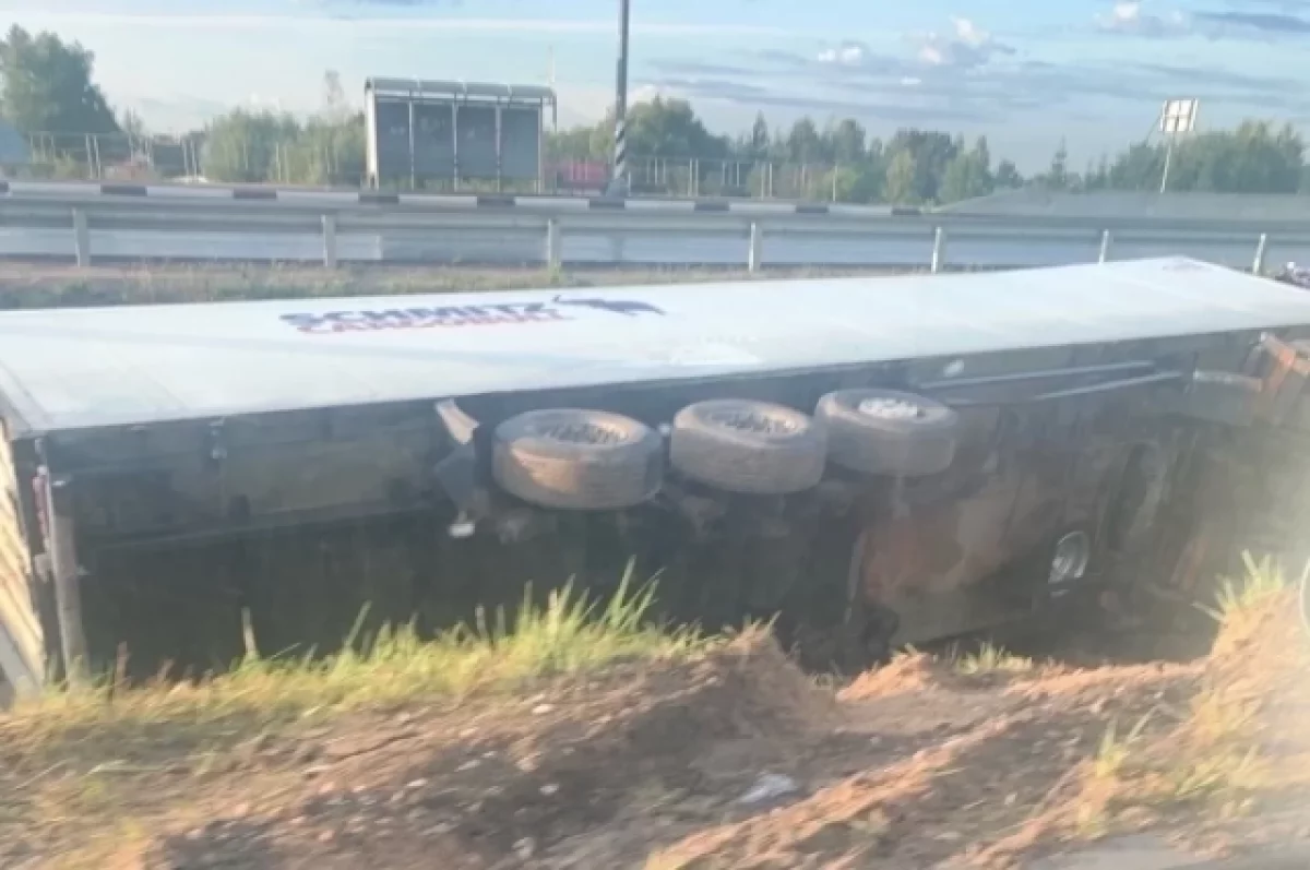 Оборванные провода после аварии на М-10 в Тверской области страшно покалечили женщину