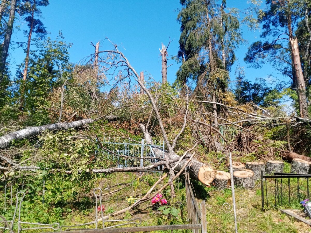Жители Тверской области своими силами разгребают страшные завалы на кладбище после урагана