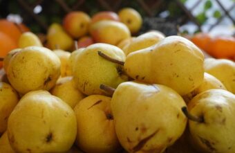 Врач рассказала, какой фрукт нужно регулярно есть для профилактики рака