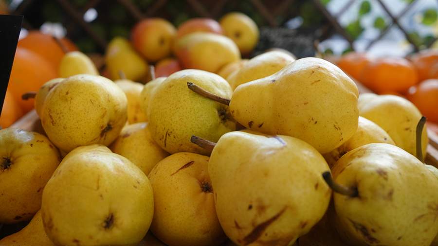 Врач рассказала, какой фрукт нужно регулярно есть для профилактики рака