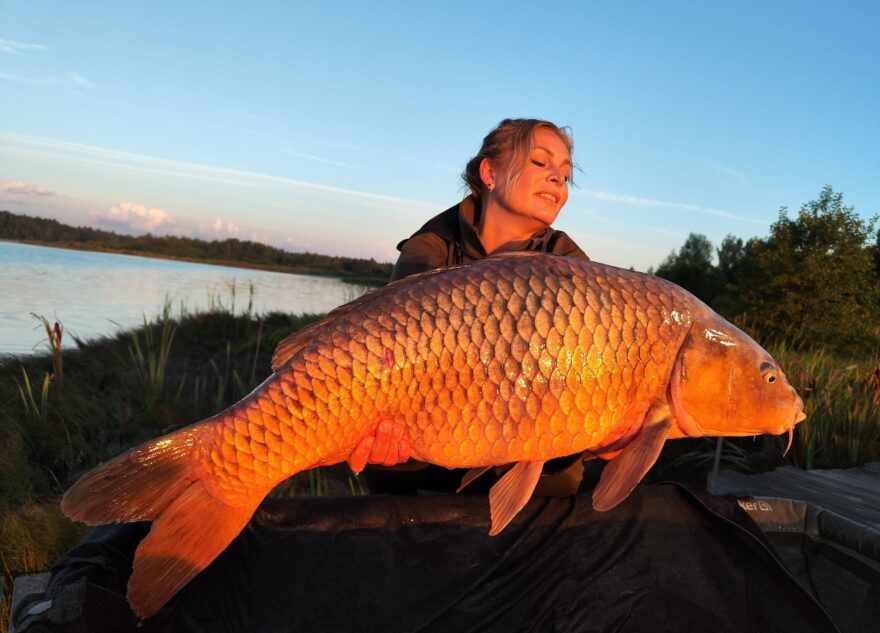 В Тверской области женщина поймала карпа-гиганта