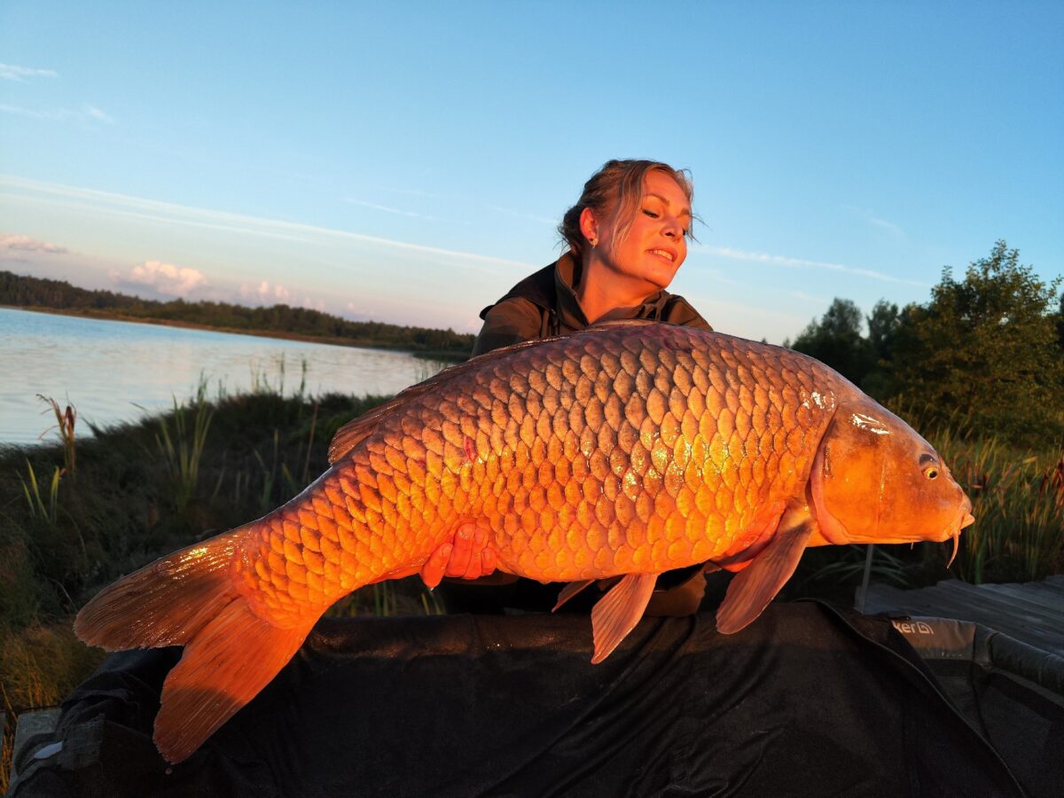 В Тверской области женщина поймала карпа-гиганта