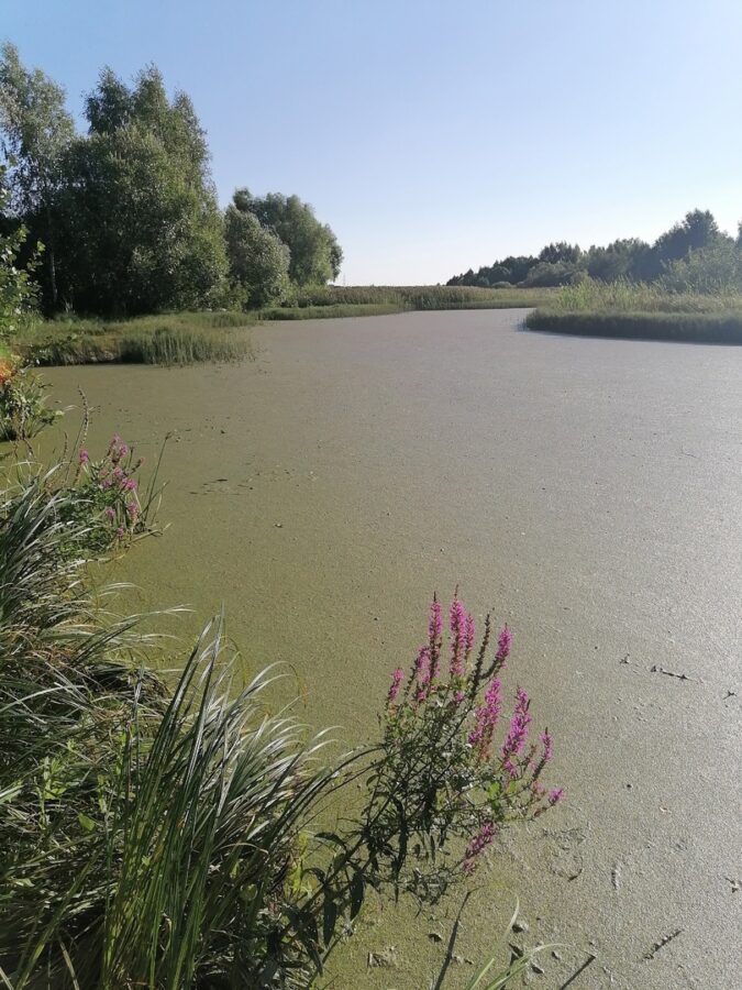 В Твери неадекватный мужчина бегает за людьми с ножом