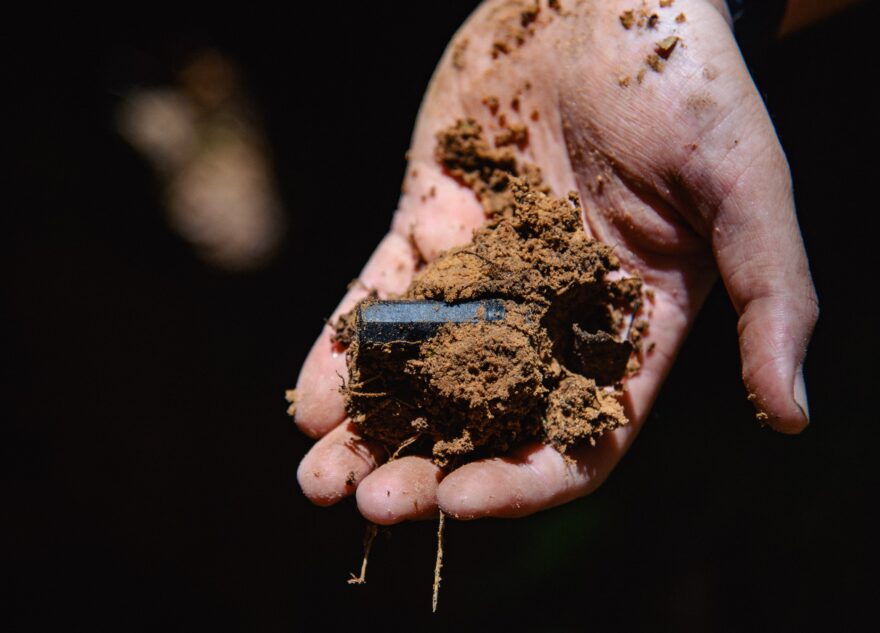Поисковые организации, проводящие экспедиции на территории Тверской области, получат поддержку