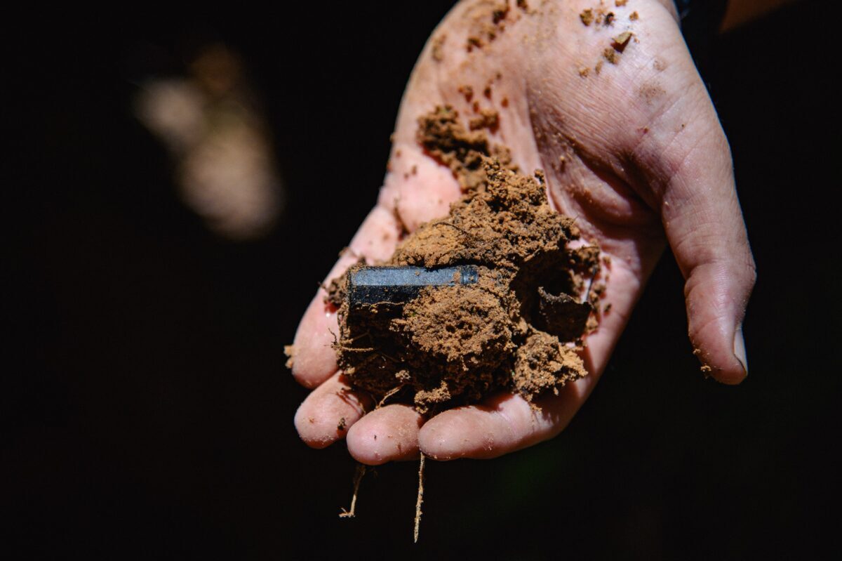 Поисковые организации, проводящие экспедиции на территории Тверской области, получат поддержку