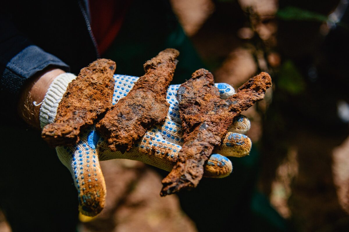 Поисковые организации, проводящие экспедиции на территории Тверской области, получат поддержку